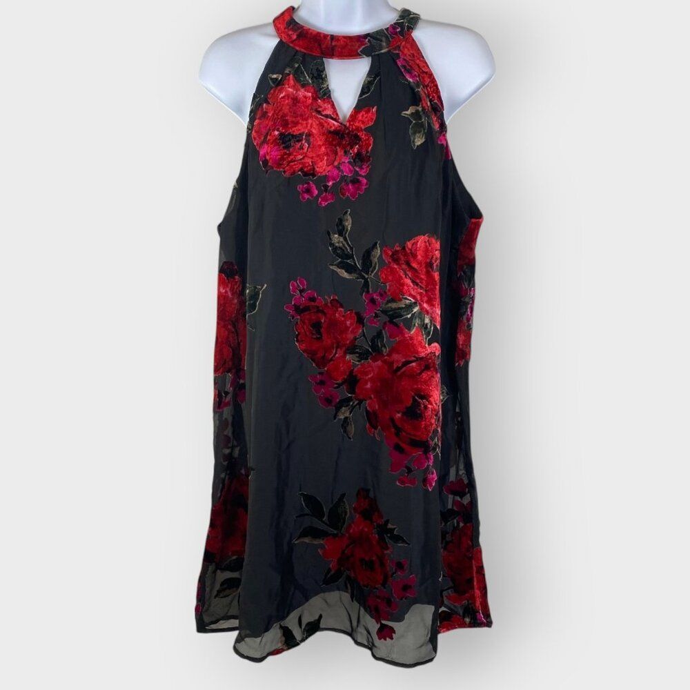 Lily Rose Velvet Burnout Dress | XL | Floral Mesh | Fairy Grunge Whimsigoth